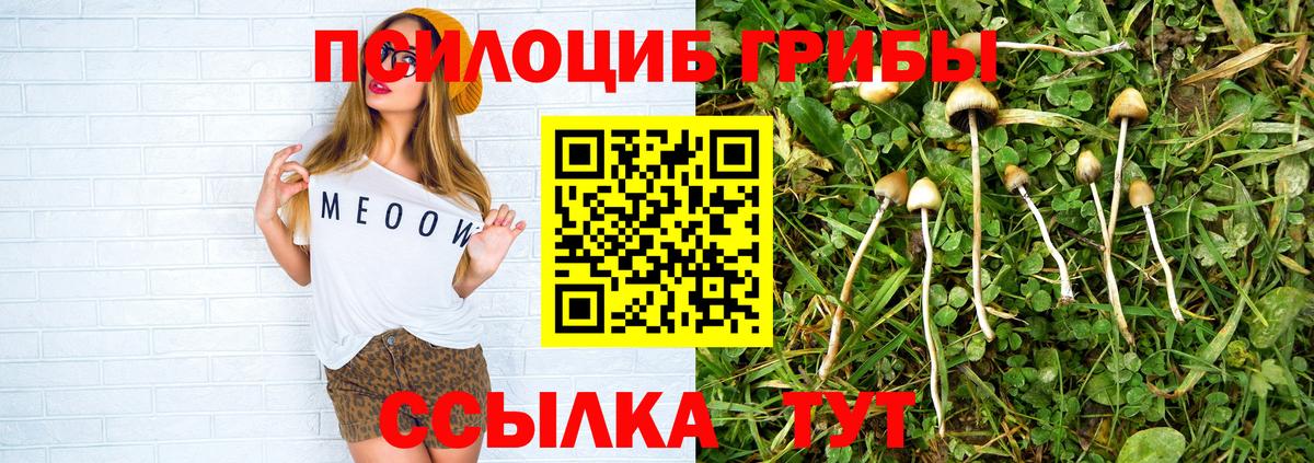 Галлюциногенные грибы Cubensis  Вход с VPN  Щёлково  Галлюциногенные грибы Cubensis 
